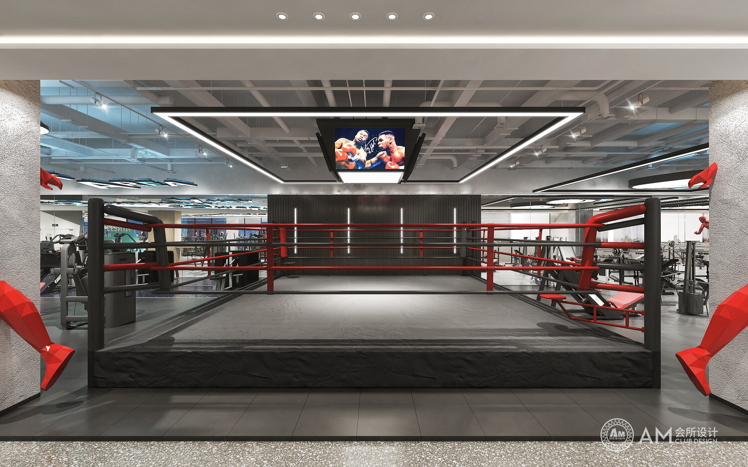Am design | boxing ring design of Hefei Gymnasium
